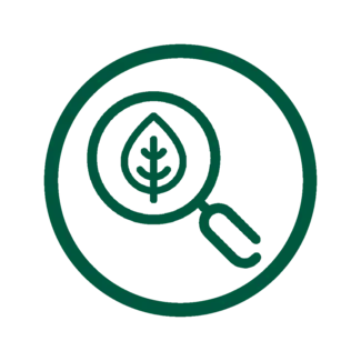 Icon of magnifying glass highlighting a leaf