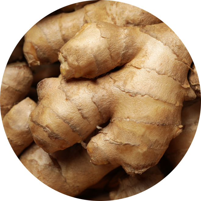 Ingredient Glossary - Ginger Root