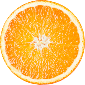 Fresh Clementine orange slice