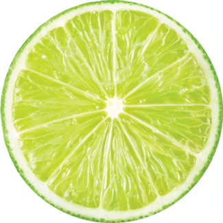 Fresh lime slice