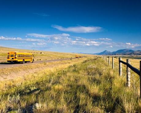 School Bus on Highway