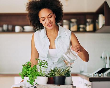 Image of person watering herbs in kitchen