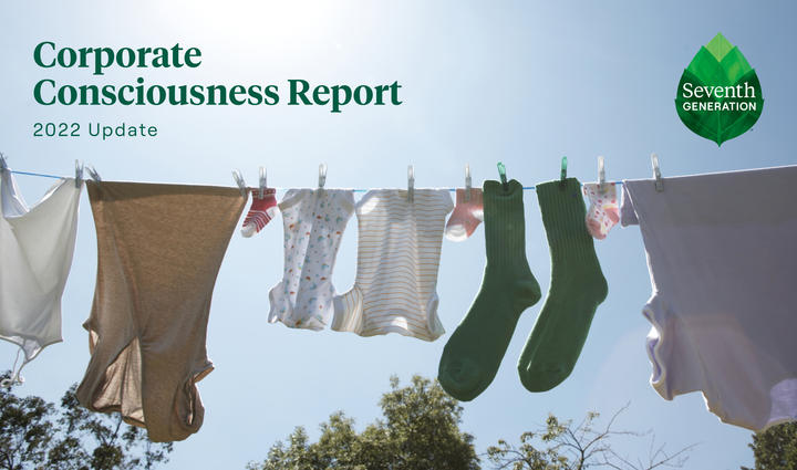 2022 Corporate Consciousness Report - Laundry drying in sun on clothesline